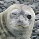 😉