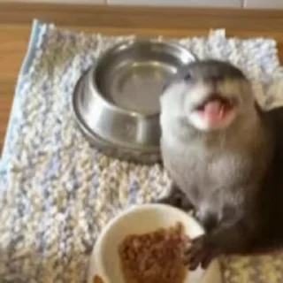 🍟