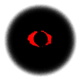 👁