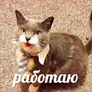 👔