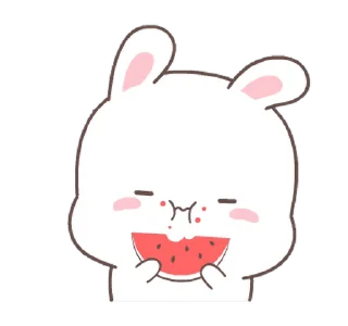 🍉