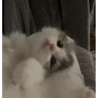 🥰