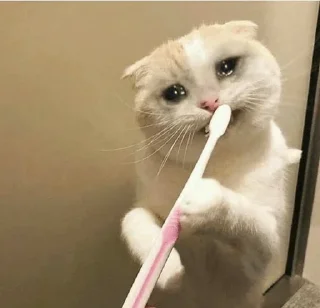 🥺