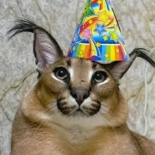🥳