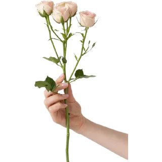 🥀