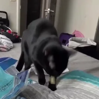 😢