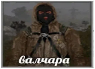💂
