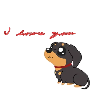 🐶