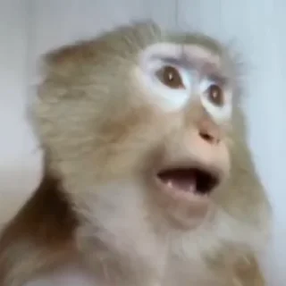 😲