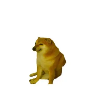😭