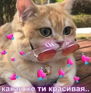 😻