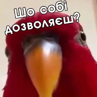 😠