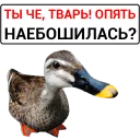 🦆