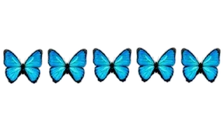 🦋