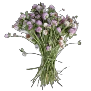 💐