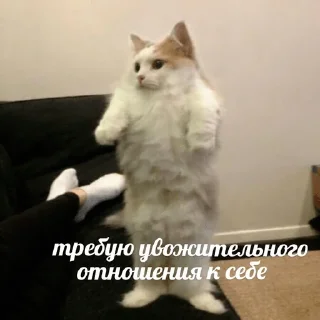 😟
