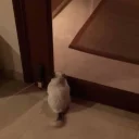 👀