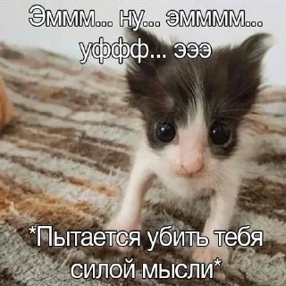 😺