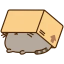 📦