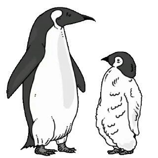🐧
