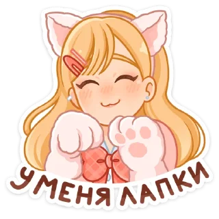 🐈