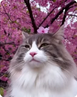 😌