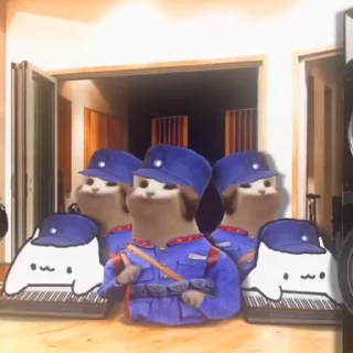 🇹🇼