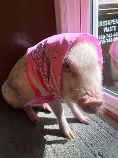 🙃
