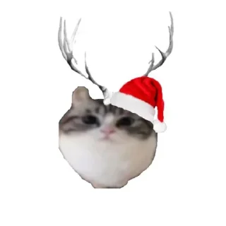 ❄️