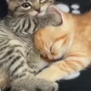 🥰