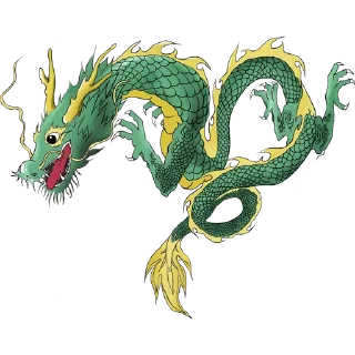 🐲