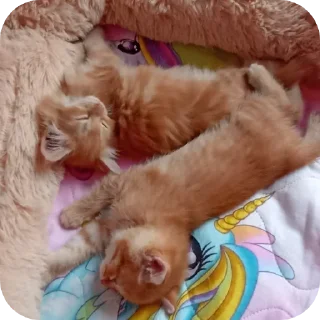❤