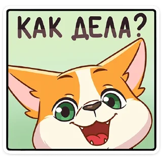 🐶