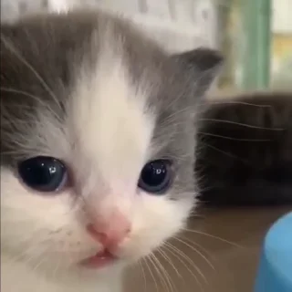 😮