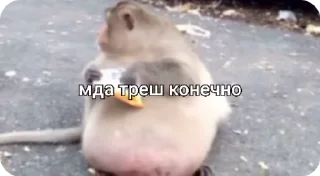 🌟