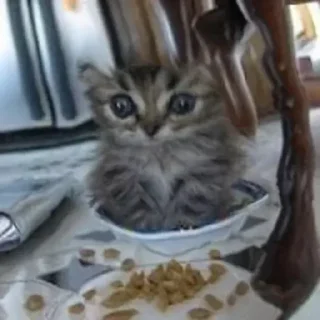 😐