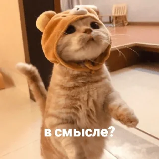 🤨