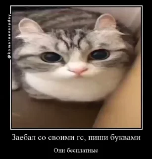 🤬