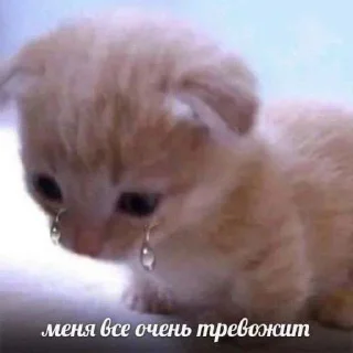🥲