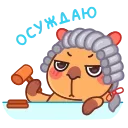 👩‍⚖️