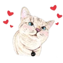 ❤