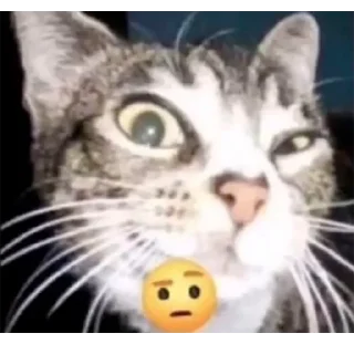 🤨