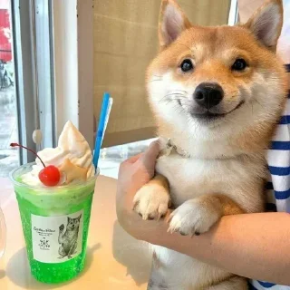 ☺️