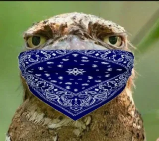 🪃