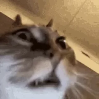 😱
