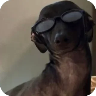 😎