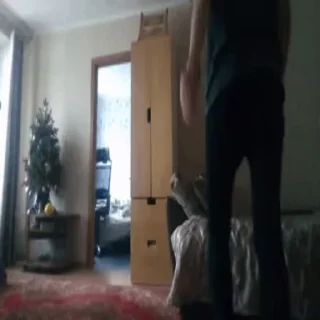 🤡