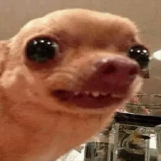 🙁