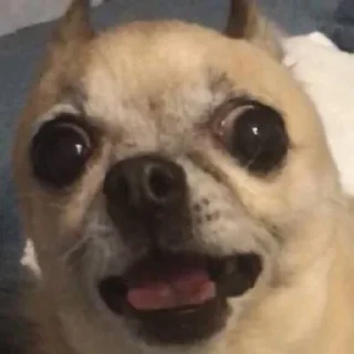 😦
