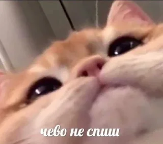 ❔